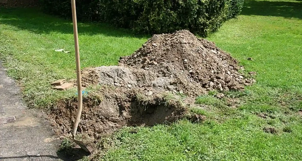 Come proteggere il giardino dai parassiti senza pesticidi