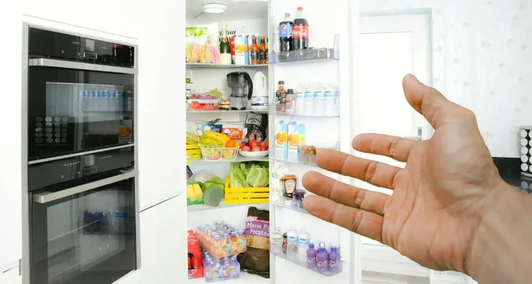 Conservazione degli alimenti in frigorifero consigli utili