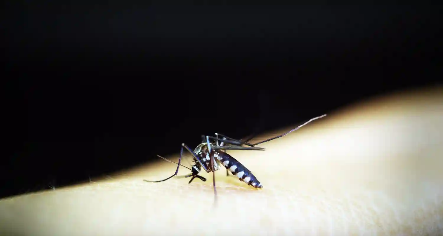 Dengue di che infezione parliamo