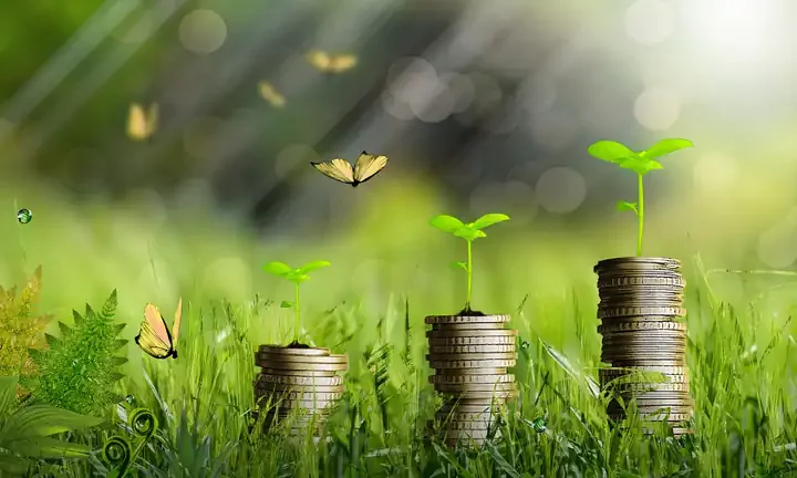 Opportunità della green economy per le imprese locali